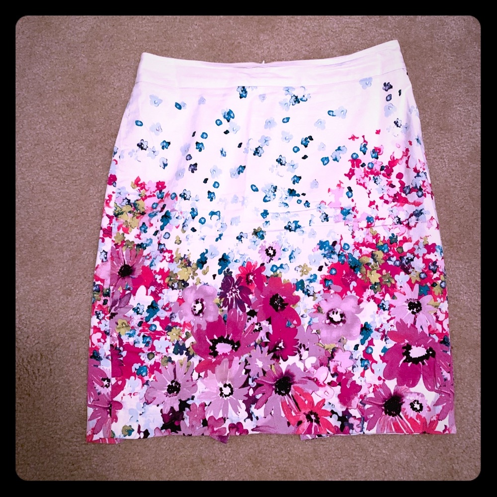 Ann Taylor skirt